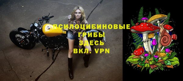 apvp Абдулино