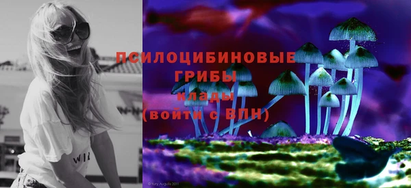 mix Абаза