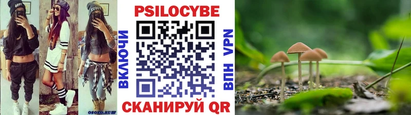 наркотики  Кириллов  Галлюциногенные грибы мицелий 